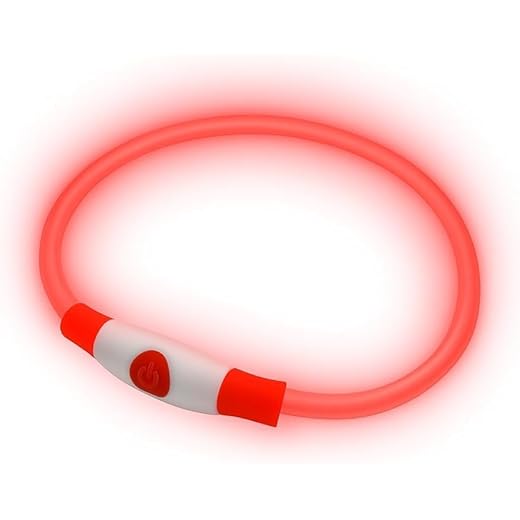 Modisches LED-Hundehalsband in Rot