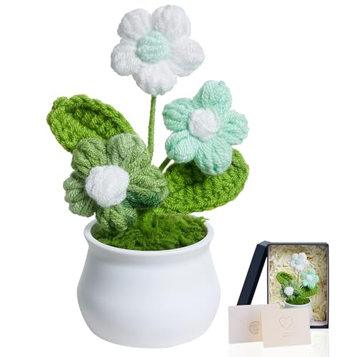 LAIDANLA Green Crochet Puff Flowers Potted Plants, Small Handmade Crochet Flower Graduation...