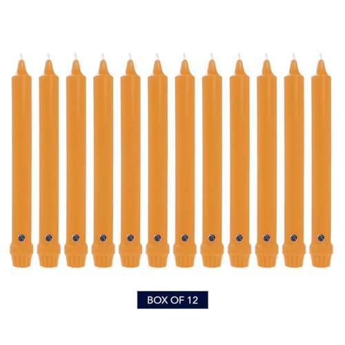Image of Colonial Candle Unscented Taper Candle, Classic Collection, Caramel, 10 in, Pack of 12 - Up to 8 Hours Burn