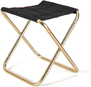 Lesfit Portable Folding Stool, Outdoor Fold up Lightweight Camp Aluminium Stools Seat for Camping, Fishing, Picnic, Travel and Hiking (30x25.5x31.5cm) 