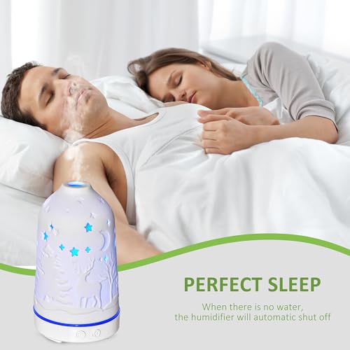 Difusor de Aroma y Humidificador 2 en 1 100ml LED miniatura 6