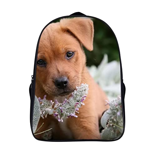 Sac à dos imprimé Animal Dog pour enfants et adultes | Taille 40x28x16cm
