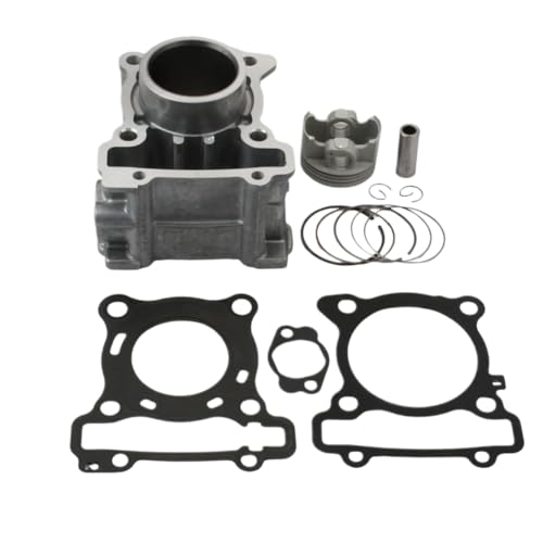 V_[Lbg 2DS E1311 10 XN[^[ NMax125 125 GPD125A 125 MBK OCITO125 ƌ݊