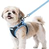 rabbitgoo Dog Harness Small Sized and Leash Set, Step-in Breathable Pet Harness, Soft Walking Reflective Puppy Vest for Small Dogs, Black & Light Blue, S