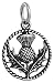 Sterling Silver Scottish Thistle - Small, Double Sided - (Charm Only or Necklace)