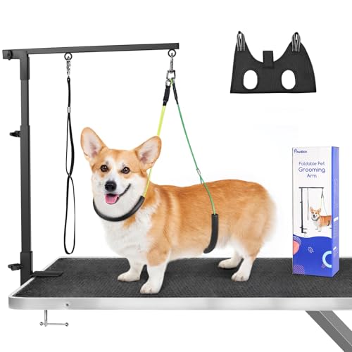 g~OA[ Pawaboo pg~OA[ O[~Oe[uɌŒ g~O ܂ ^̃g~OnbNt g~OA[ g~O[ht Œ ^  NvŒ ͎ Lk\ 