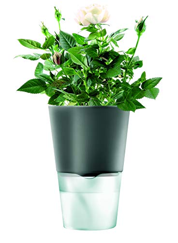 EVA SOLO Prosperplast Pot à Fleurs Auto-irriguant Gris foncé 11 cm