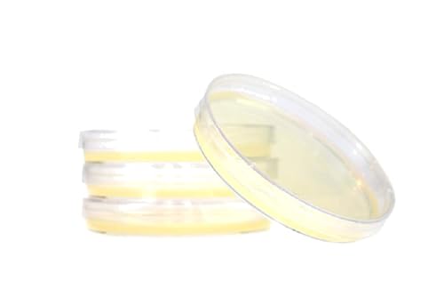 Miniatura 4 de Agar de soja tríptico (TSA), con Typtone y Soytone, medio de crecimiento general, (paquete de 10), placas Petri previamente vertidas de 0.591 x