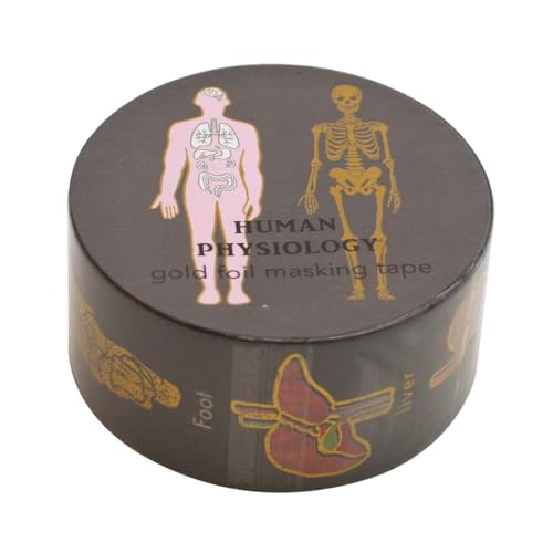 STUDY HOLIC }XLOe[vylސwz}Xe fR[V 킢 ST-2