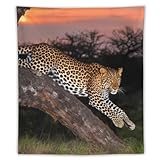 Matériau de qualité supérieure : la tapisserie imprimée léopard africain est fabriquée en tissu polyester, doux, léger, facile à nettoyer et à séchage rapide. La tapisserie esthétique avec finition détaillée la rend belle et résistante.