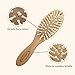 Baby Hair Brush & Comb Set, Organic Wooden Hairbrush Natural Goat Bristles 3-Piece for Newborns & Toddlers, Ideal for Cradle Cap & Itching, Perfect Shower and Registry Gift for Infant, Toddler, Kids