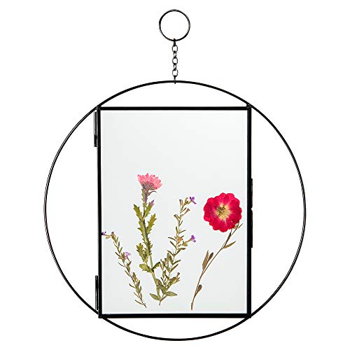 Rainbows & Lilies Pressed Flower Frames, Glass Frame for Pressed Flowers, Floating Frame, Photo Frames 5x7, Hanging Picture Frames, Double Glass Frame - Display Dried Flowers, Photos, Artwork (Black)