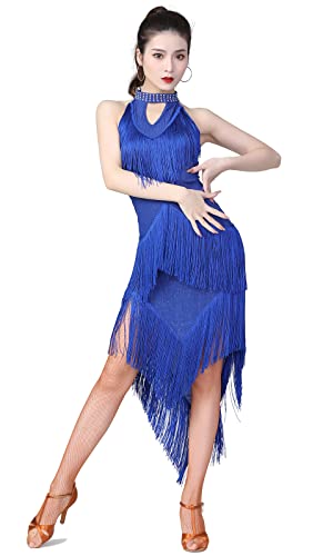 ZX Women's Ballroom Latin Tango Salsa Dance Dress High Low Swallowtail Fringe Skirt Dance Costume...