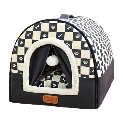 Sn̗ǂ^pnEXAALAqAqLp̒gA, O[ XL