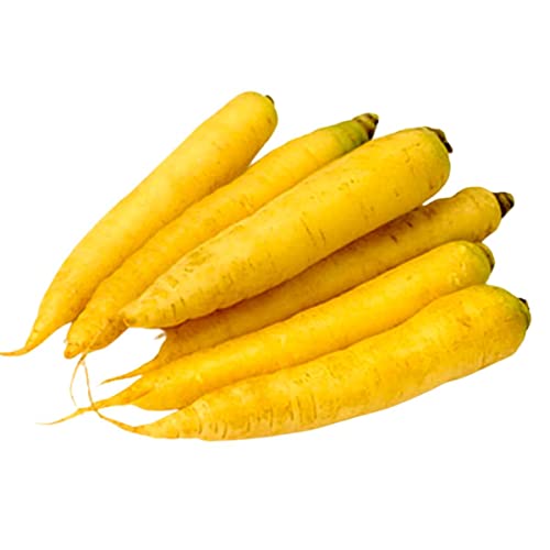 Sementes de Cenoura Ariele Amarela (3g) Super ISLA