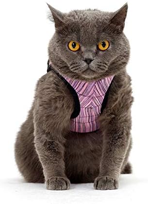 Fooubaby Soft Cushion Cat Harness with Leash for Walking Training Outdoor Escape Proof Padded Cat Vest Adjustable and Comfort for Small Medium Large Cats Pet Kitten Puppy