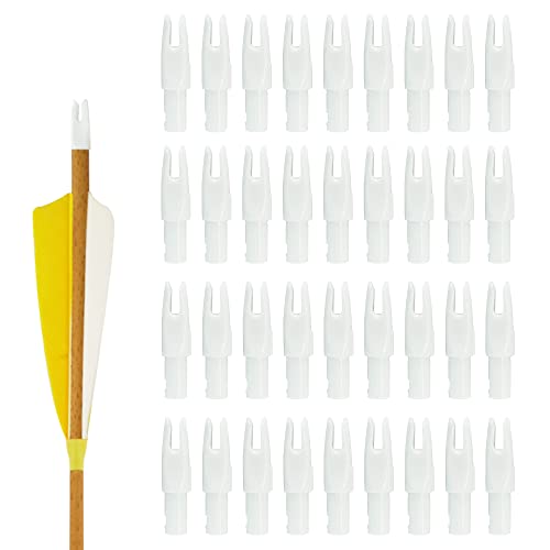 Hosolee 36 Pack Arrow Nocks ID 6.20mm/.244inch Insert Tails for Archery Hunting Target Shooting