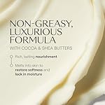 Weleda Skin Food Body Butter 5 Fluid Ounce, Sustainable Glass Jar, Plant Rich Hydrating Moisturizer with Shea and Cocoa Butter, Sweet Almond Oil and Pansy - Image 3