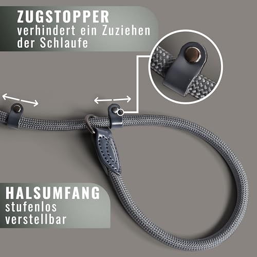 Retrieverleine 150 cm für große & kleine Hunde – Halsband mit integrierter Leine – Slip Leash & Trainingsleine Hund – Führungsleine für Labrador & Retriever - Ruckdämpfer (Anthrazit, bis 5 Kg)