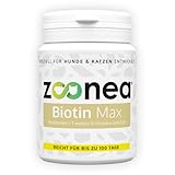 Zoonea