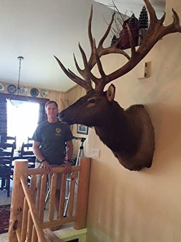 Timber-Loc Shoulder Mount Flush Taxidermy Kit. The Most Secure Way To Hang Your Mount. #TOP7