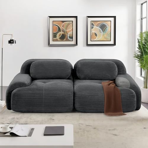 SoarFlash Canapé Moderne modulable, Tissu côtelé, Assise Profonde + accoudoirs Larges, sans Assemblage, 2 Places, Gris foncé