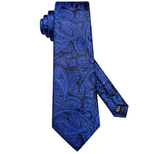 Hi-Tie Silk Paisley Ties for Men Necktie Pocket Square Cufflinks Set Foral Tie Sets Formal Business