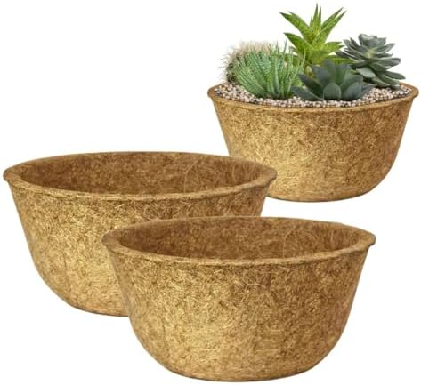 Kit 2 Vaso Cuia Natural Xaxim de Fibra de Coco 19x12cm Ecológico ...