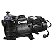 Produktbild Ribimex PRSWIM750 Schwimmbadpumpe Swim 750, 1000 W, 195 l/min, Schwarz, 28 x 21 x 52 cm