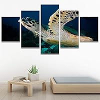 SIGNWIN 5 Panel Canvas Wall Art Modern Art Multicolor Nautical Photography Relax/Calm Reptiles Turtle for Home Decorations Ready to Hang - 60