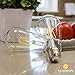 HUDSON BULB CO. Vintage LED Edison Light Bulbs, 60W Equivalent, E26/E27 Base, 2700K Soft White, Dimmable, ST58 Style Decorative Lights - 6 Pack