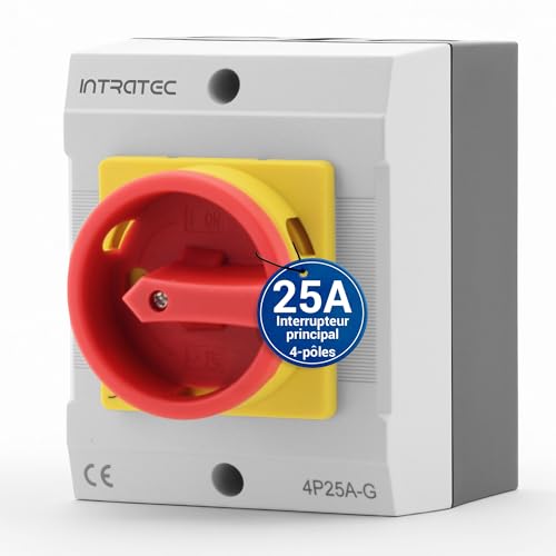 Interrupteur saillie 25A pour coupure sûre de machines industrielles 400 V