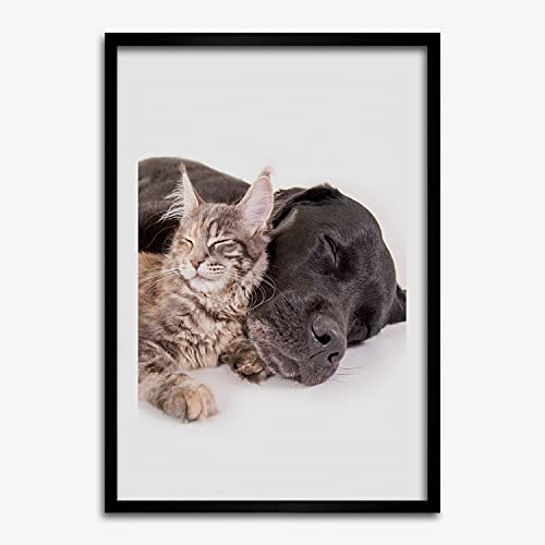 Cadre MDF 50x70 cm moderne avec affiche chien et chat Tulup