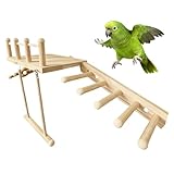 Perchoir À Perroquets,Jouets d'escalade avec Rampe Et Balançoire | Espace De Jeu pour Oiseaux | pour Perruches, Calopsittes Et Canaris Contre L'Ennui Et Le Temps Seul À La Maison