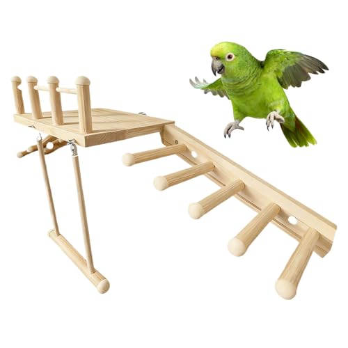 p~܂,P[WANZT[ ͂ƃuRt - IJCRp~܂,ZLZCCR IJCR tB`p Ƃł̂ЂƂ莞 ދh~