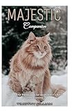 MAJESTIC Companion: The Ultimate Maine coon cat guide and its basic understanding.
