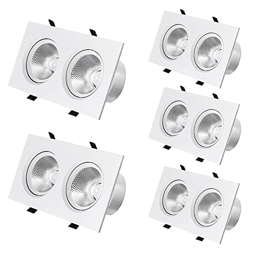 GTHTUHFD Juego De 5 Focos Led Empotrables Cuadrados De 2 Cabezales, con Ángulo Ajustable, Led COB Blanco Tipo Ojo De Buey, 10W, 20W, 30W, 40W, Alto Brillo, 3000K-6000K.,40w-3000k