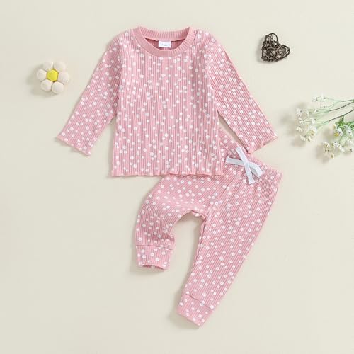 Baby Girl Fall Clothes Set Floral Print Long Sleeve Tops Pants Cute Infant Toddler Outfits 6 12 18 24 Months 2T (Floral Pink, 18-24 Months)