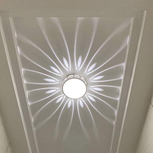 5W Ceiling Fixture Adjustable Flush Mount Light LED Modern for Porch Hallway 6500K