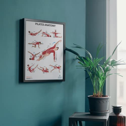 Image of Anatomy Lab Pilates Anatomy Poster, LAMINATED, Pilates Wall Chart | 17.3 x 22.5 Inches, Anatomy and Physiology, Wall Pilates Exercise Chart, Workout Poster