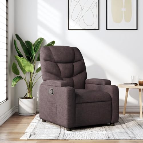Emmtore Sillón Reclinable Silla con Respaldo