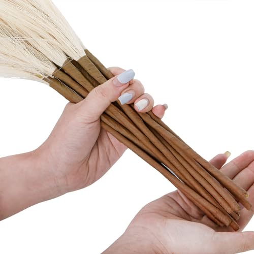 10 PCS Grama de pampas falsa, grama curta oficial pomposa de 22,3 polegadas Floral Pompas falsas Ram