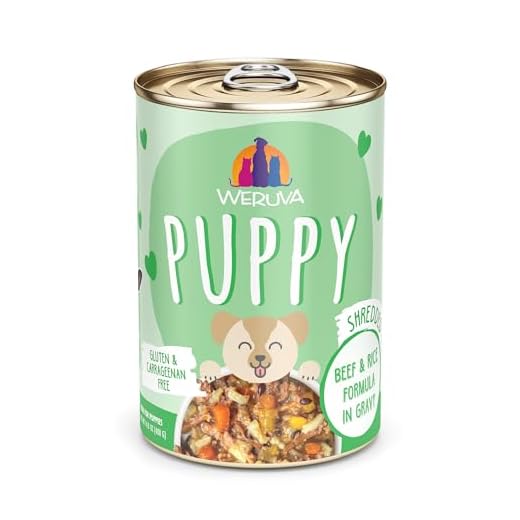Weruva Puppy, Beef and Rice Formula in Gravy, 14oz Can, Pack of 10