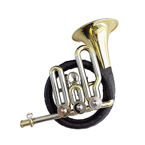 Double French Horn Key Bb Rear Horn With Shell Rotary Valve Brass Wind Instrument #TOP17