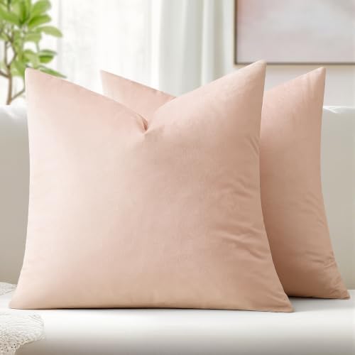 Image of MIULEE Velvet Throw Pillow Covers 20x20 Inch, Pack of 2 - Pink, Super Soft Decorative Square Cushion Cases Modern Luxury Valentines Spring Home Decor for Sofa,Couch,Bed,Chair