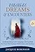 Parables, Dreams & Encounters: Understanding God's Language and Symbols for your Discernment, Deliverance and Destiny!