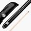 Cue with Soft Case