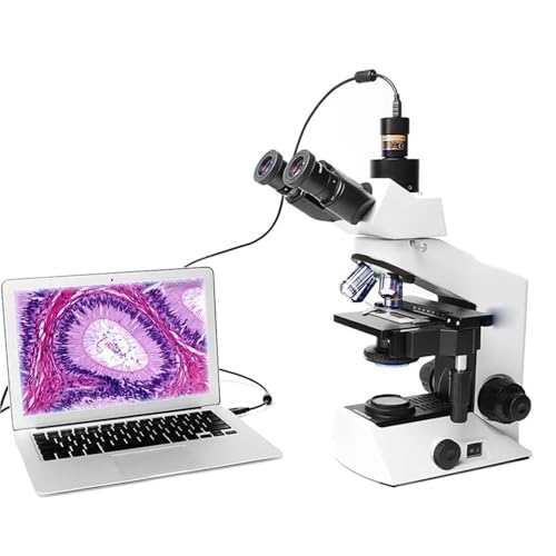 Cámara de microscopio digital USB 2.0 de 5 MP y sensor Imx335 para ocular de telescopio 4