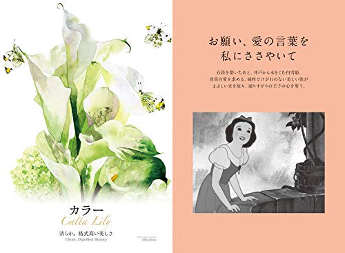 Disney Princess ディズニープリンセスと幸せの花言葉 講談社 柘植 彩子 本 通販 Amazon