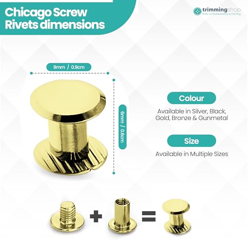 Fixations Chicago en laiton dorée 9 x 6 mm pour arts et loisirs